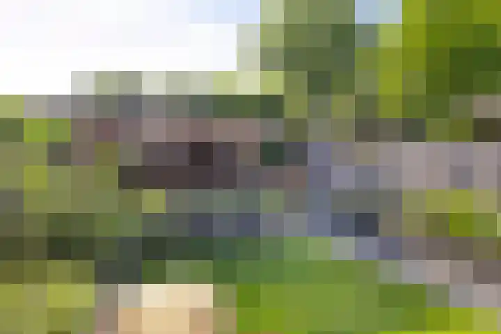 Spielehorst 32 Enschede thumbnail 41
