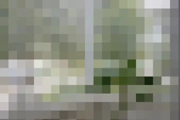 Spielehorst 6 Enschede thumbnail 13