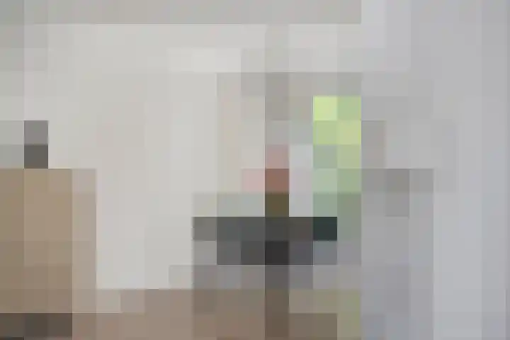 Spielehorst 6 Enschede thumbnail 15
