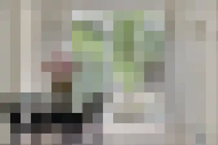 Spielehorst 6 Enschede thumbnail 18