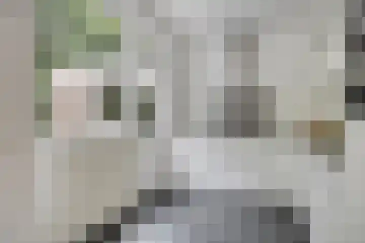 Spielehorst 6 Enschede thumbnail 20