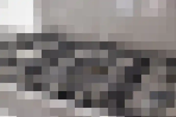 Spielehorst 6 Enschede thumbnail 23