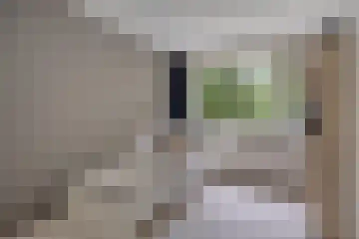 Spielehorst 6 Enschede thumbnail 30