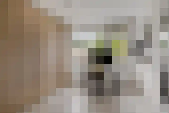 Spielehorst 6 Enschede thumbnail 32