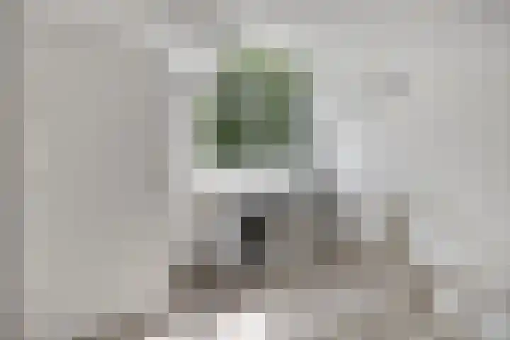 Spielehorst 6 Enschede thumbnail 33