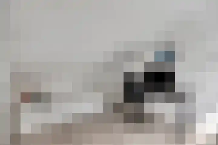 Spielehorst 6 Enschede thumbnail 34