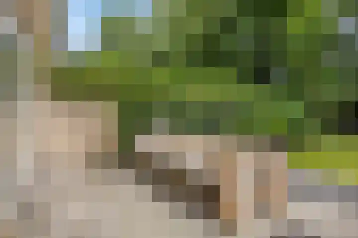 Spielehorst 6 Enschede thumbnail 36