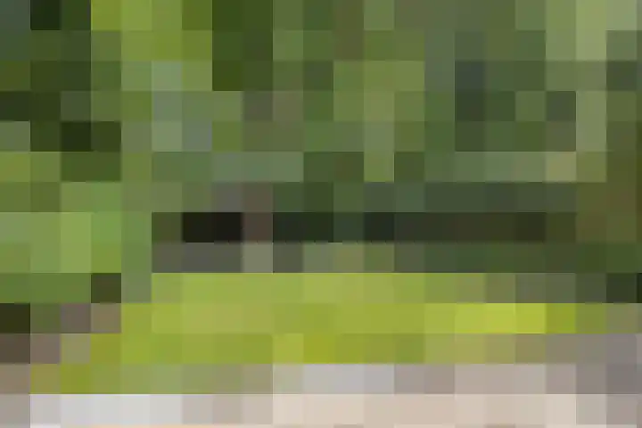 Spielehorst 6 Enschede thumbnail 38