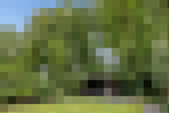 Spielehorst 6 Enschede thumbnail 39