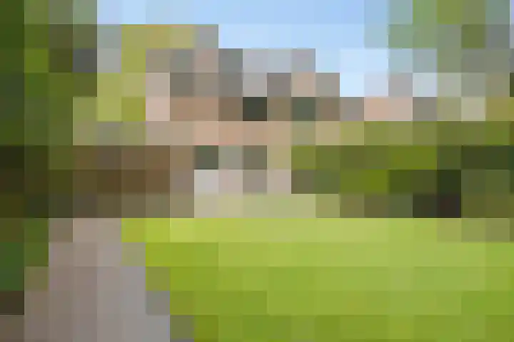 Spielehorst 6 Enschede thumbnail 40