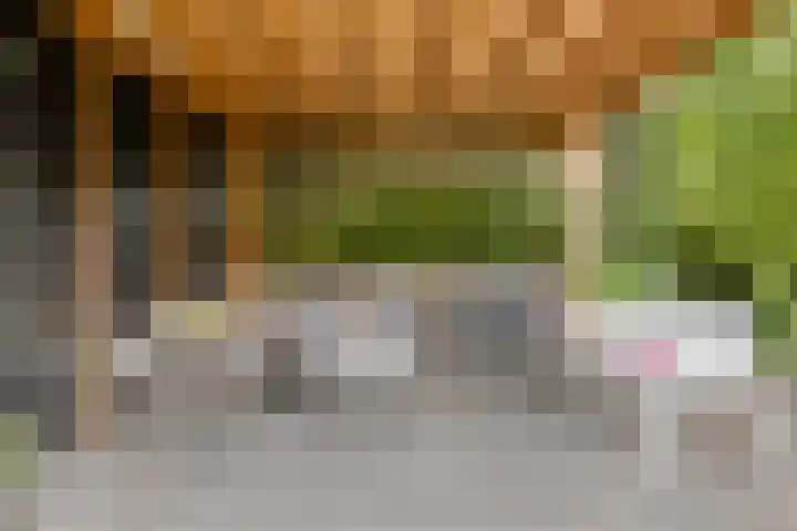 Spielehorst 6 Enschede thumbnail 42