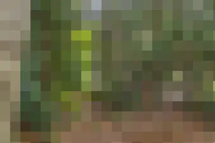 Spielehorst 6 Enschede thumbnail 44