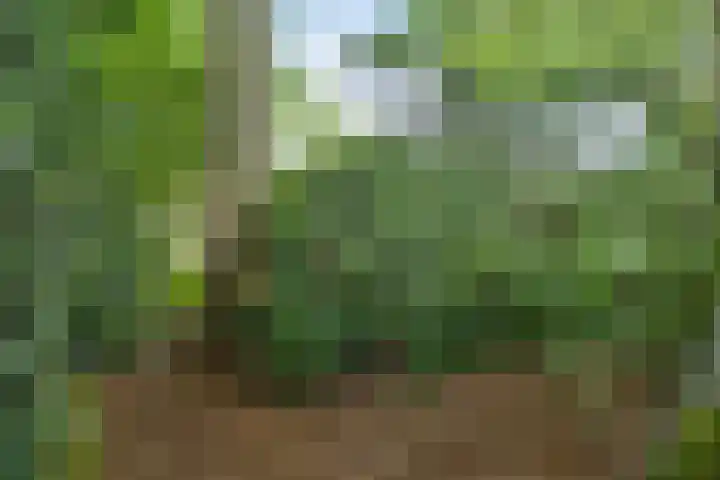 Spielehorst 6 Enschede thumbnail 45