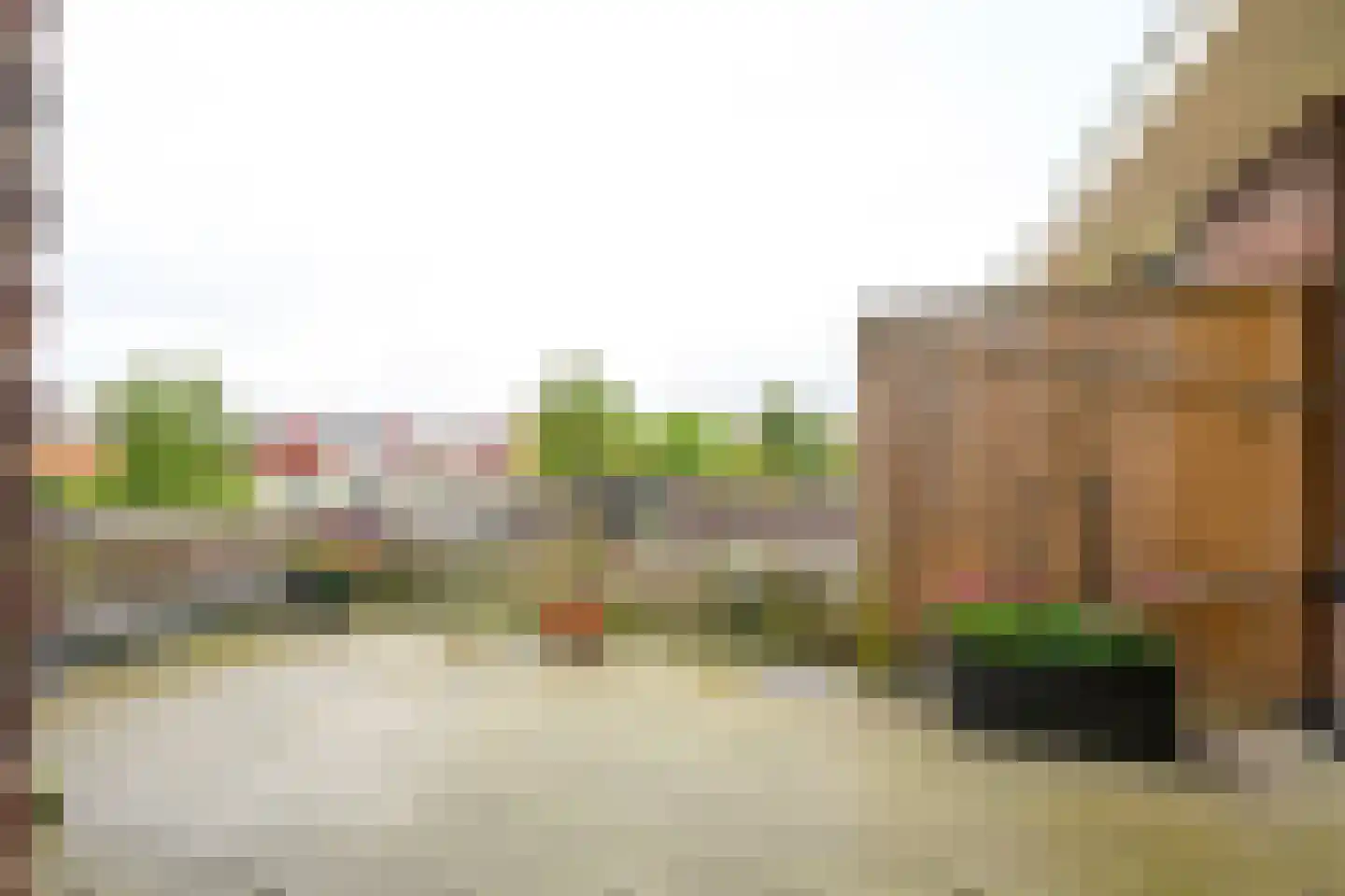 Spierdijkerweg 105 F Spierdijk thumbnail 5