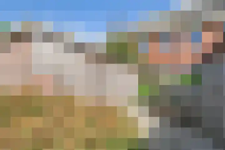 Spierdijkerweg 105 L Spierdijk thumbnail 8