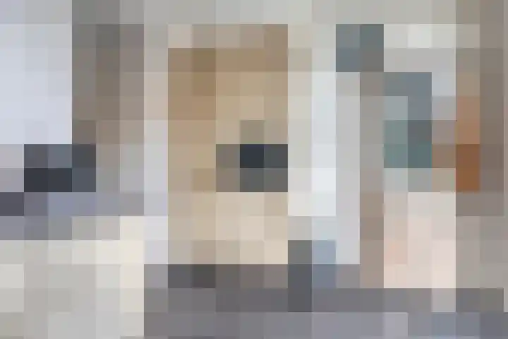 Spierenburgstraat 40 Goes thumbnail 12