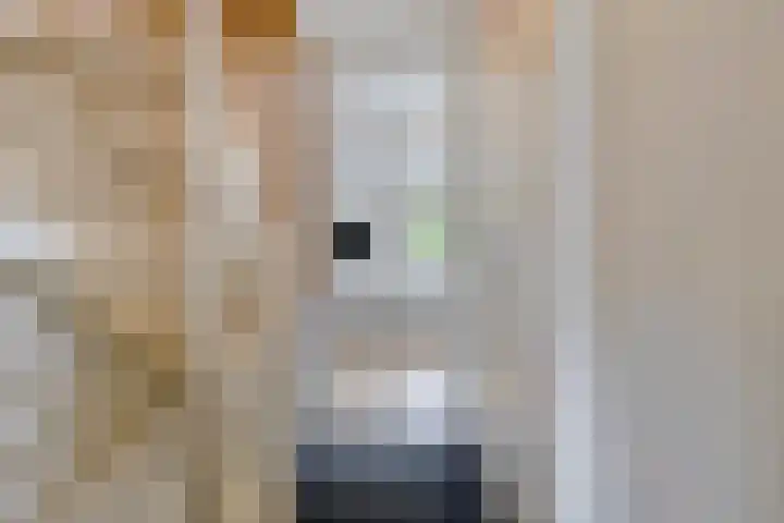 Spierenburgstraat 40 Goes thumbnail 25