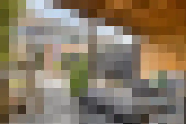 Spierenburgstraat 40 Goes thumbnail 33