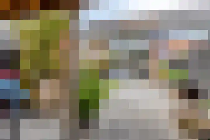 Spierenburgstraat 40 Goes thumbnail 34