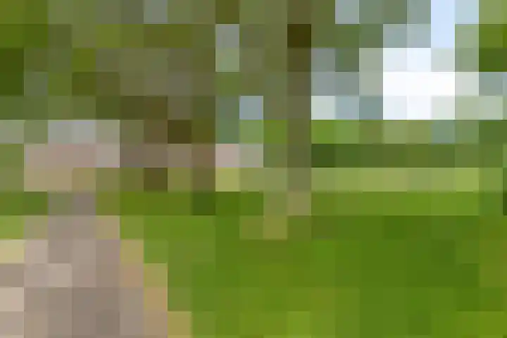 Spierenburgstraat 40 Goes thumbnail 38