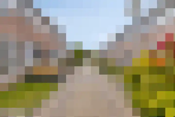 Spierenburgstraat 40 Goes thumbnail 41