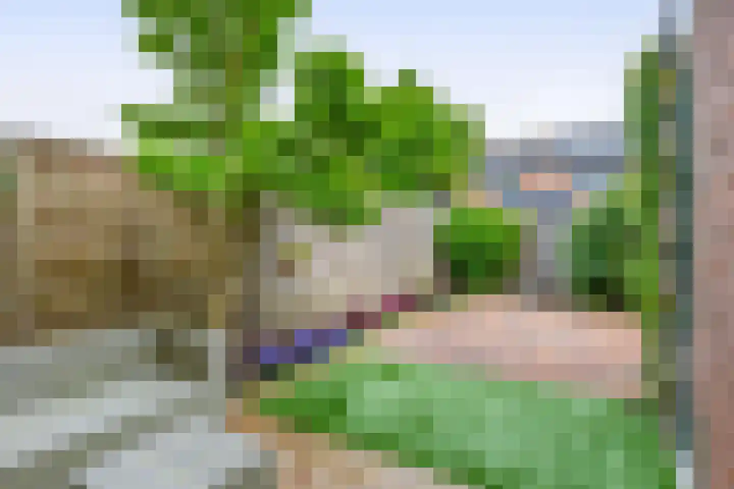 Spiering 17 Hellevoetsluis thumbnail 22