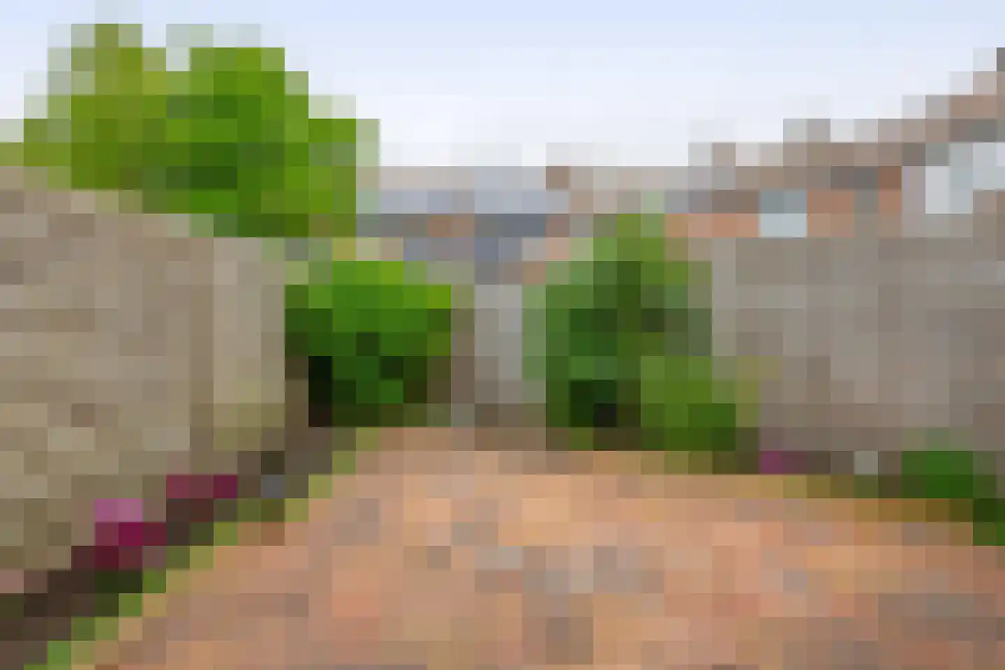 Spiering 17 Hellevoetsluis thumbnail 25
