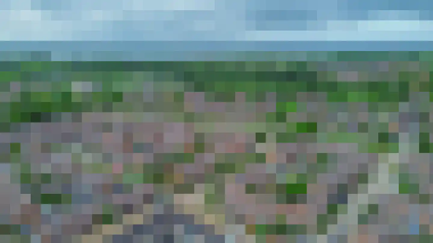 Spiering 17 Hellevoetsluis thumbnail 45