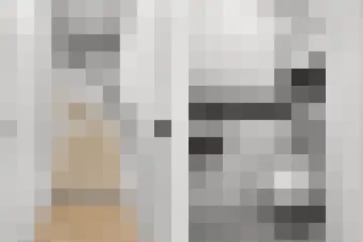 Spiering 7 Hellevoetsluis thumbnail 12