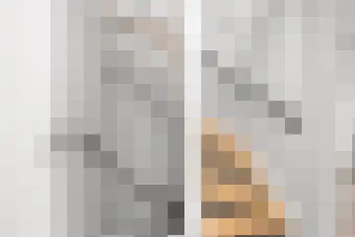 Spiering 7 Hellevoetsluis thumbnail 13