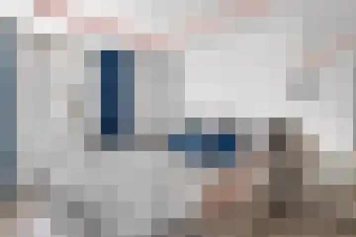 Spiering 7 Hellevoetsluis thumbnail 14