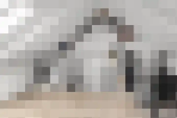 Spiering 7 Hellevoetsluis thumbnail 22