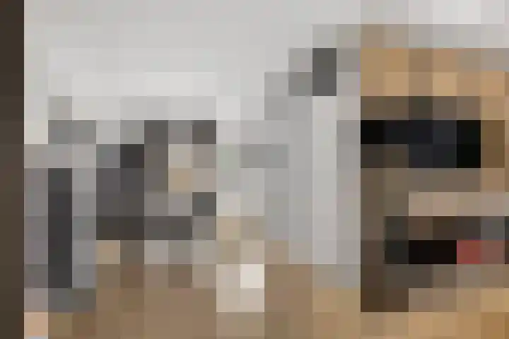 Spiering 7 Hellevoetsluis thumbnail 4