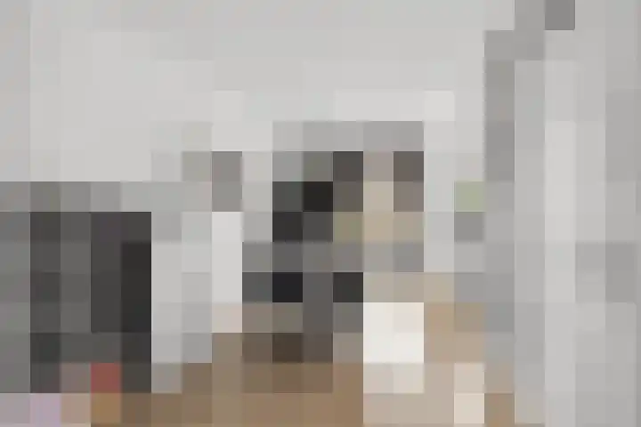 Spiering 7 Hellevoetsluis thumbnail 5