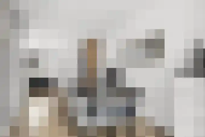 Spiering 7 Hellevoetsluis thumbnail 6