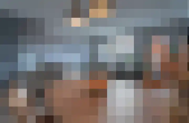 Spiering 8 Hellevoetsluis thumbnail 21