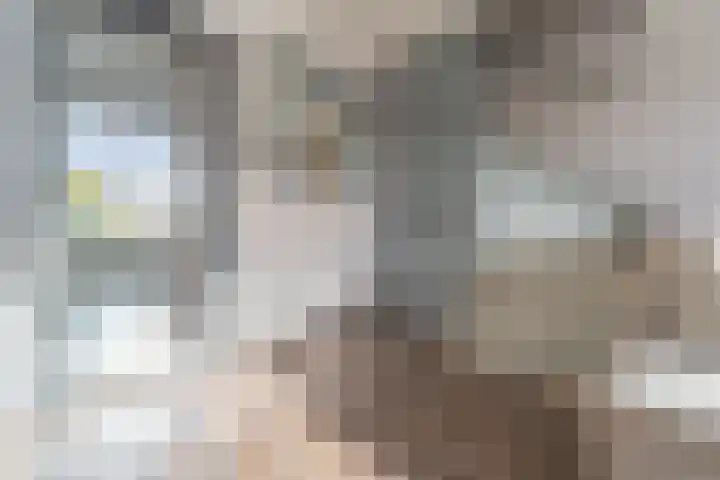 Spiering 8 Hellevoetsluis thumbnail 23