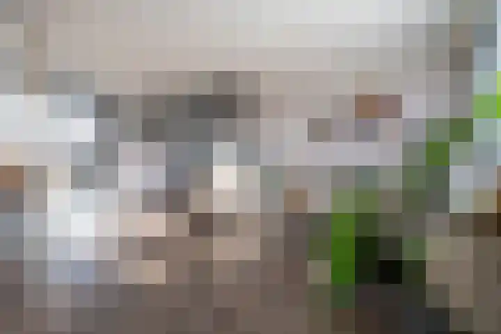 Spiering 8 Hellevoetsluis thumbnail 24
