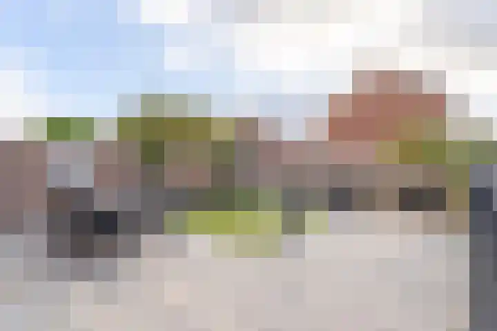 Spiering 8 Hellevoetsluis thumbnail 26