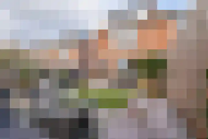 Spiering 8 Hellevoetsluis thumbnail 27