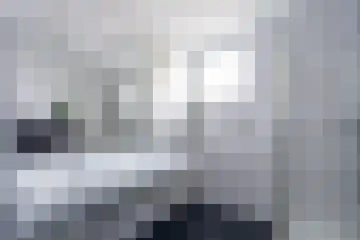 Spiering 8 Hellevoetsluis thumbnail 32