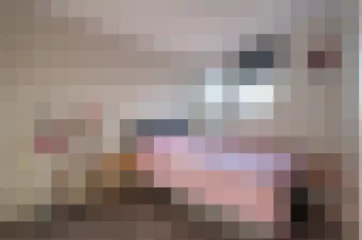 Spiering 8 Hellevoetsluis thumbnail 37