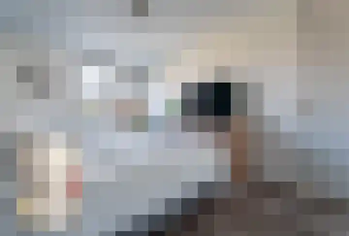 Spiering 8 Hellevoetsluis thumbnail 39