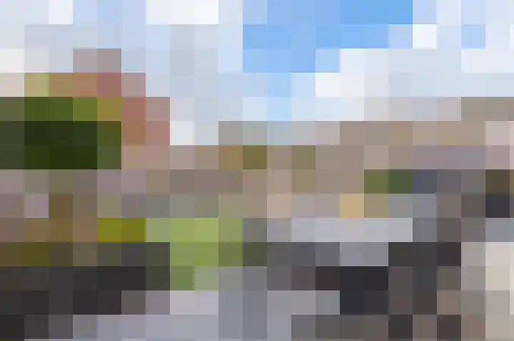 Spiering 8 Hellevoetsluis thumbnail 5