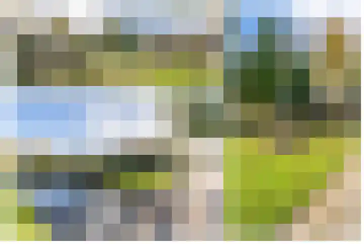 Spiering 8 Hellevoetsluis thumbnail 6