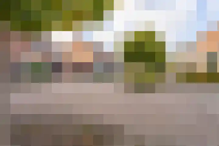 Spiering 8 Hellevoetsluis thumbnail 9