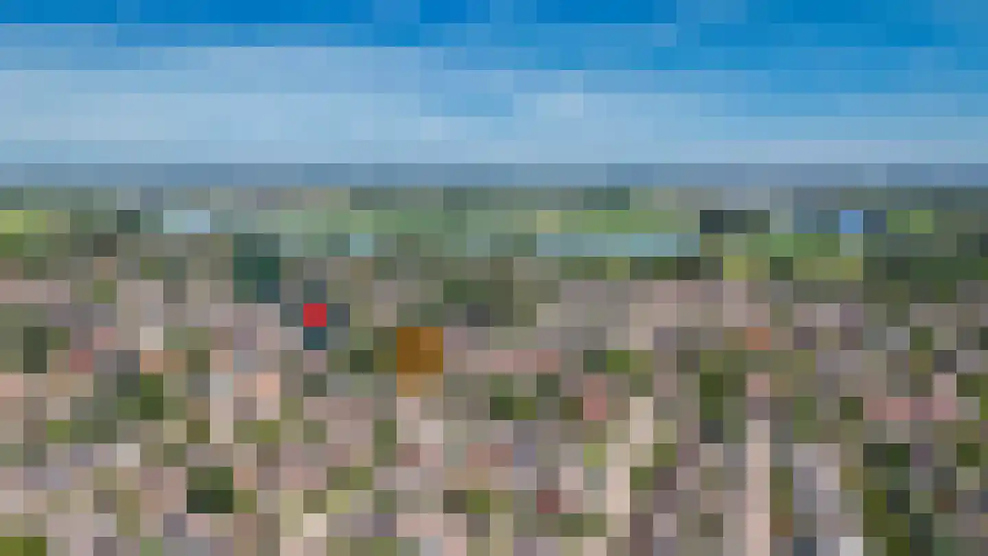 Spieringen 51 Wijk en Aalburg thumbnail 37