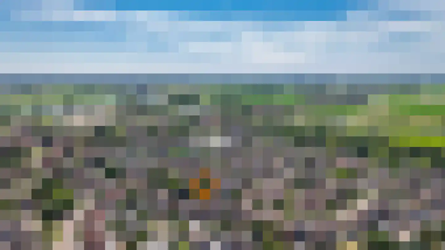 Spieringen 51 Wijk en Aalburg thumbnail 39