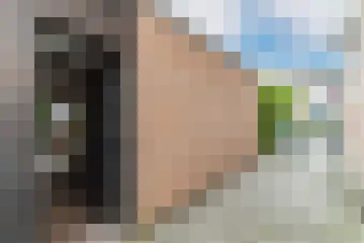 Spieringen 96 Wijk en Aalburg thumbnail 43