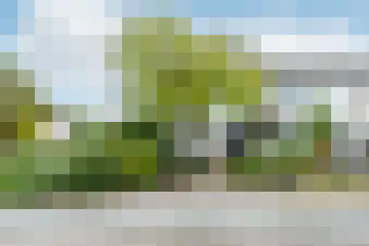 Spieringen 96 Wijk en Aalburg thumbnail 47